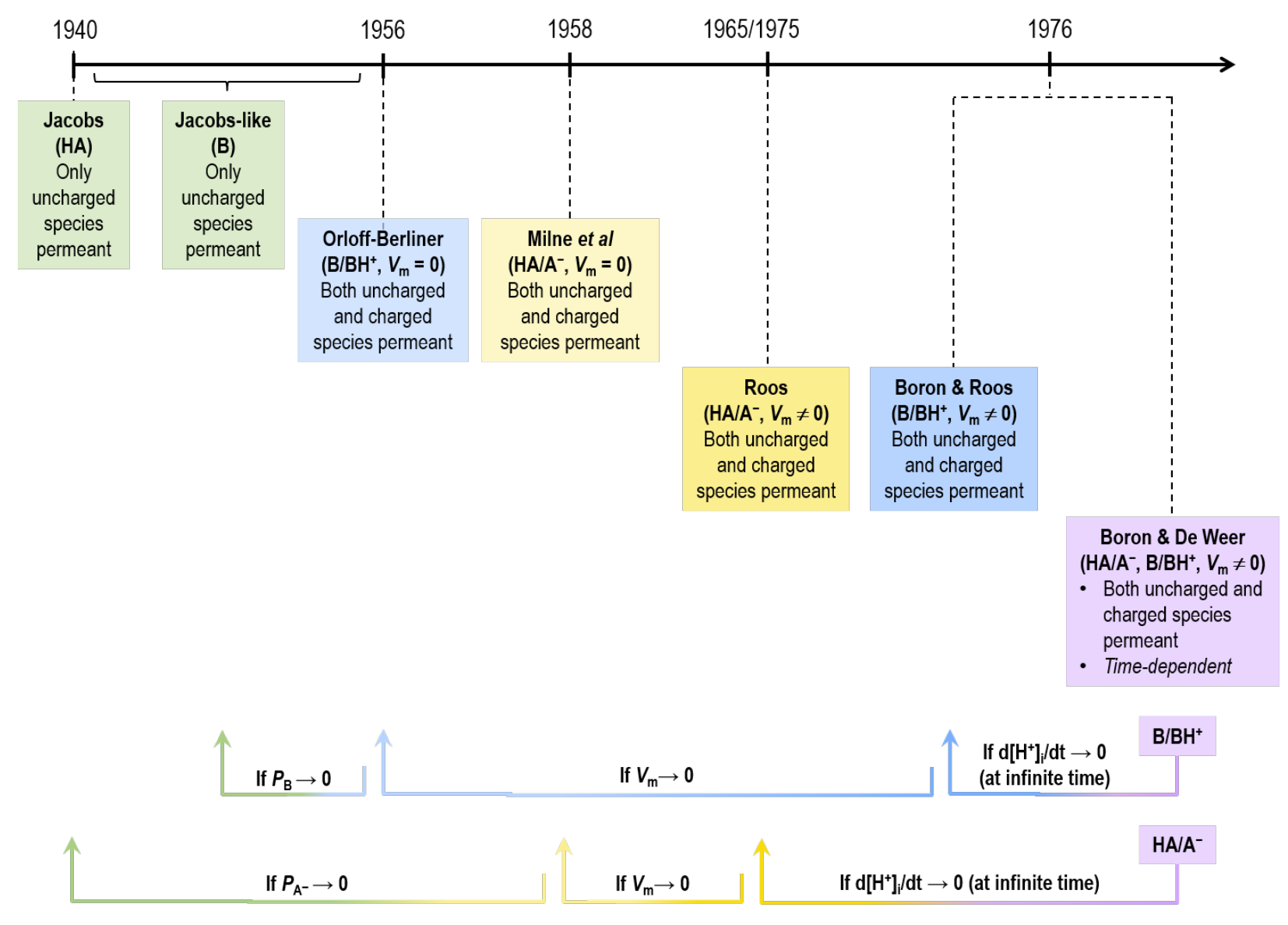 Timeline of acid-base/\mathrm{pH} models prior to BDW. Note that the time-dependent BDW model of weak acid/conjugate weak base (\mathrm{HA}/\mathrm{A^-}) collapses to  steady-state model for \mathrm{HA}/\mathrm{A^-}. The  model, in turn, reduces to the  model for \mathrm{HA}/\mathrm{A^-} when the membrane potential (V_\mathrm{m}) approaches zero. Finally, the  model reduces to the  model — where only one uncharged species \mathrm{HA} is permeant — as the permeability of \mathrm{A^-} (P_\mathrm{A^-}) approaches zero. Similarly, the time-dependent BDW model of weak base/conjugate weak acid (\mathrm{B}/\mathrm{BH^+}) collapses to  steady-state model for \mathrm{B}/\mathrm{BH^+}. The  model in turn reduces to the  model for \mathrm{B}/\mathrm{BH^+} when V_\mathrm{m} approaches zero. Finally, the  model reduces to the Jacobs-like model — where only one uncharged species \mathrm{B} is permeant — as (P_\mathrm{B}) approaches zero.
